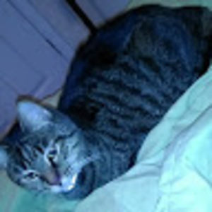 Meet your Posher, Crystal